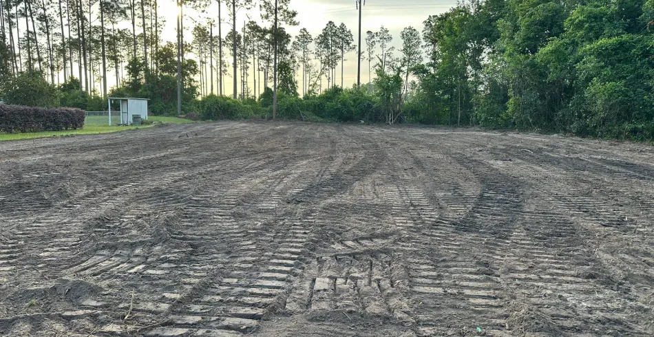 Land Clearing